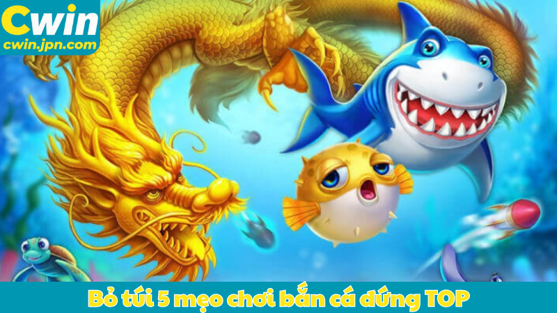Bỏ túi 5 mẹo chơi bắn cá đứng TOP ngư thủ xuất sắc