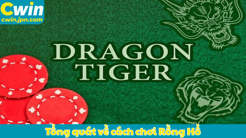 Tổng quát về cách chơi Rồng Hổ