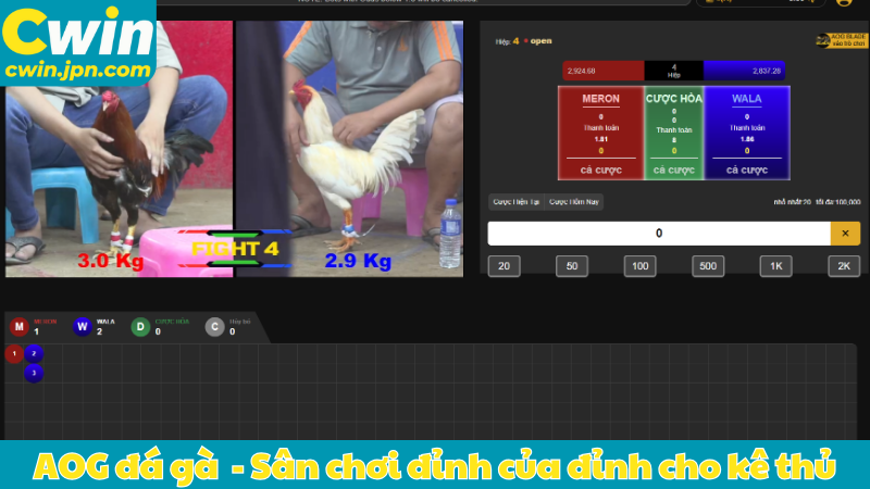 AOG đá gà - Sân chơi đỉnh của đỉnh cho kê thủ