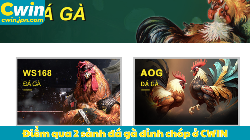 Điểm qua 2 sảnh đá gà đỉnh chóp ở CWIN