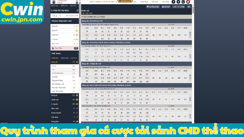 Quy trình tham gia cá cược tải sảnh CMD thể thao