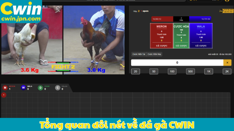 Tổng quan đôi nét về đá gà CWIN